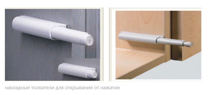 Типон